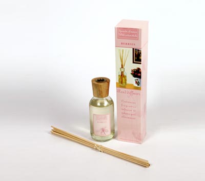 Reed Diffuser Set For Continuous Fragrance Diffusion (LT - 200/ A)